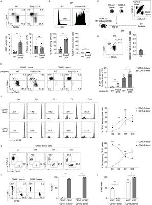 Excess generation and activation of naturally arising memory-phenotype CD4+ T lymphocytes are inhibited by regulatory T cells in steady state